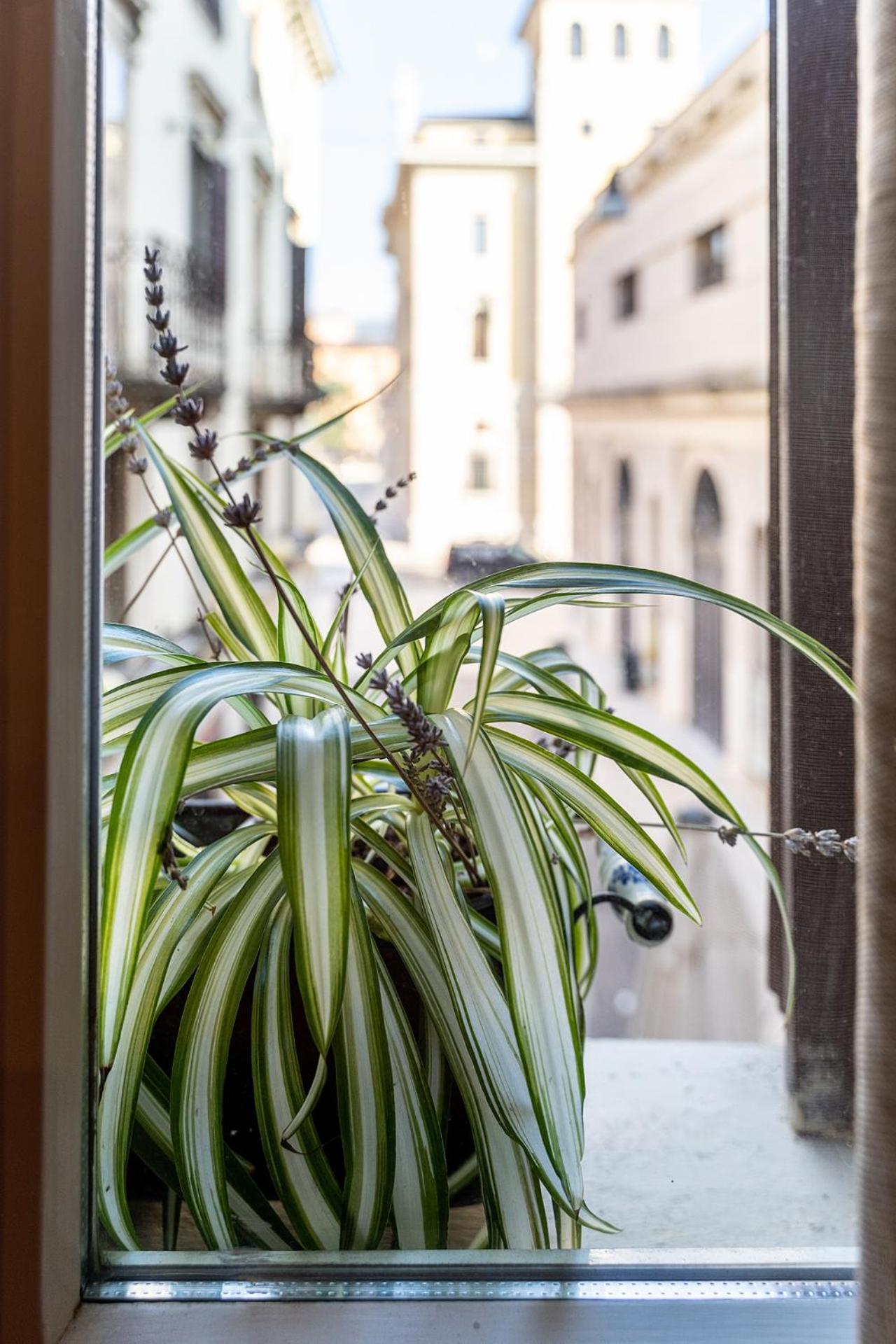 Ferienwohnung Dependance Cara Giulietta Verona Exterior foto